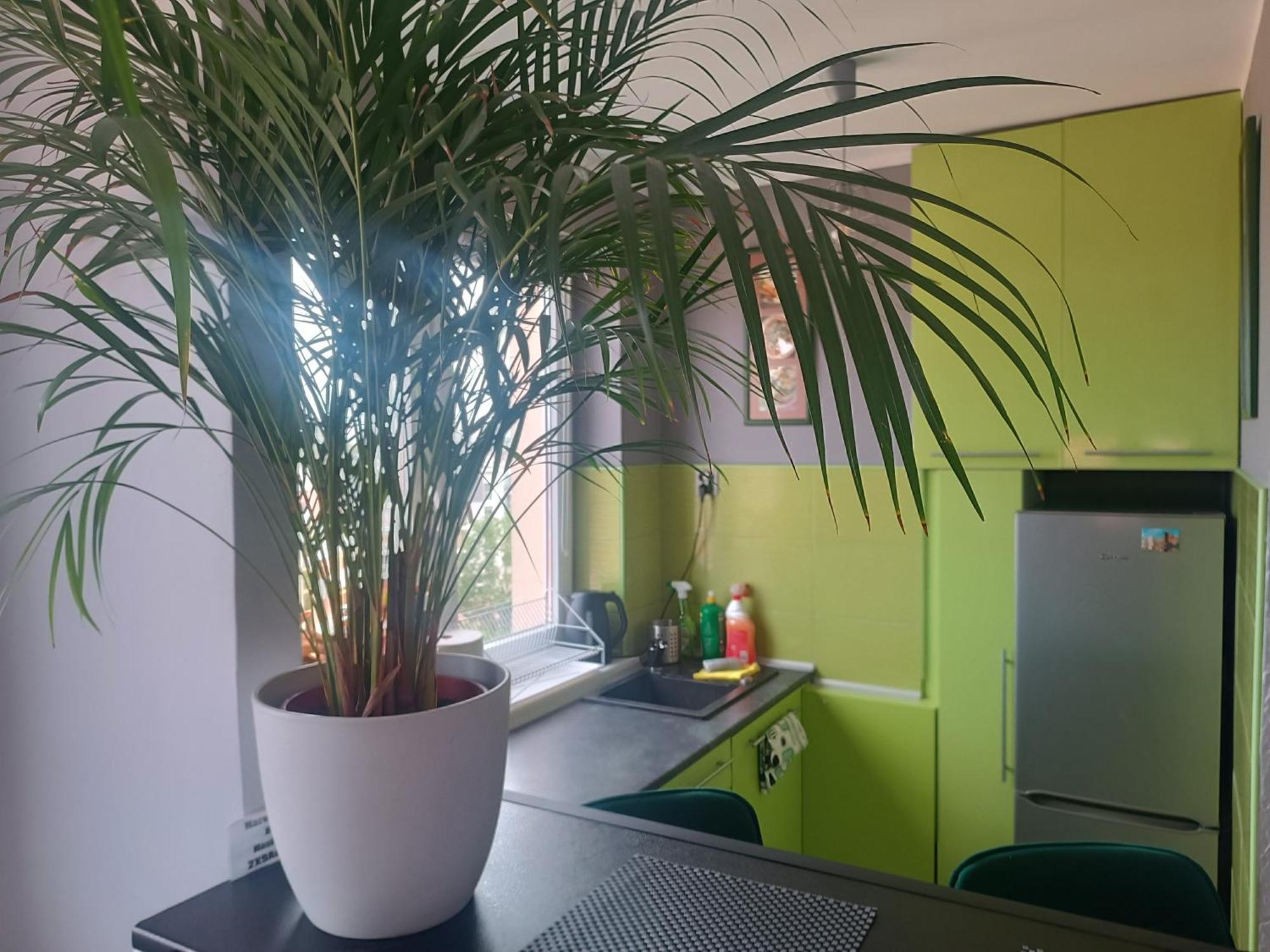 Apartament 2 Długie Ogrody Gdańsk Zewnętrze zdjęcie